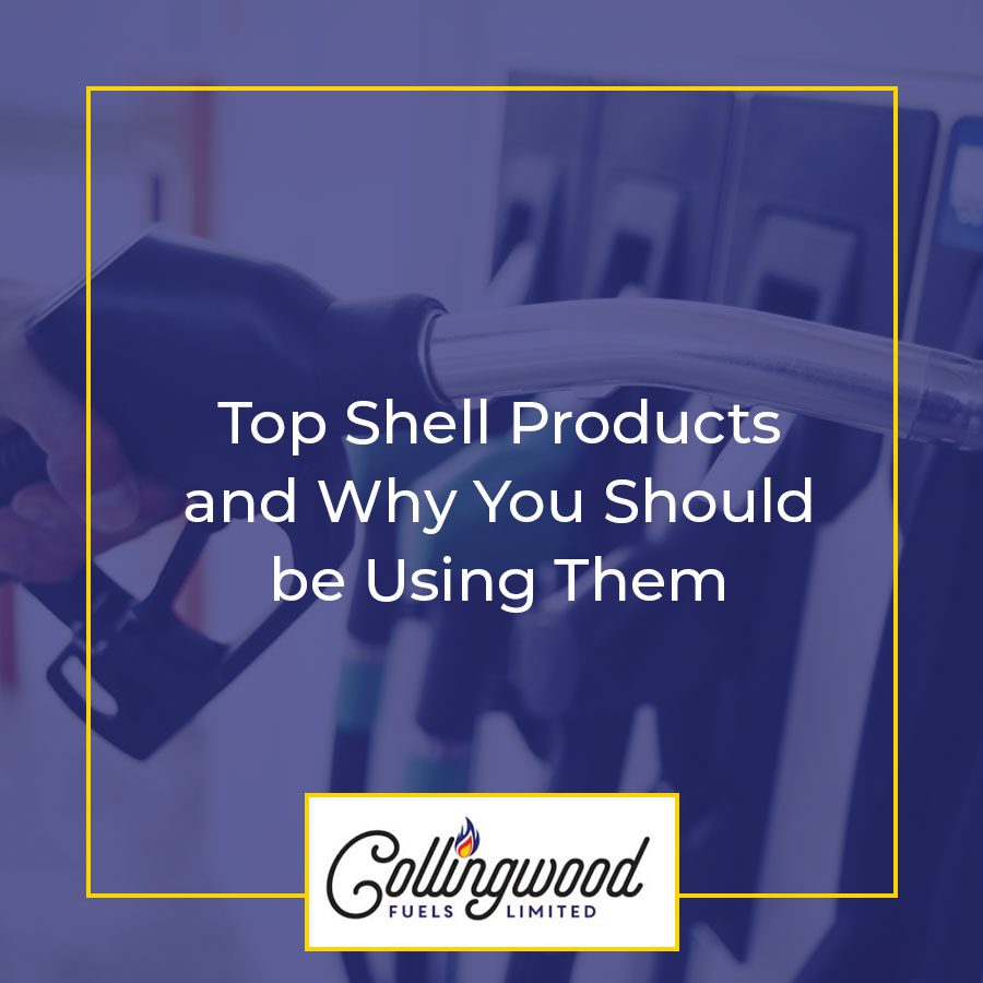 Top Shell Products and Why You Should be Using Them